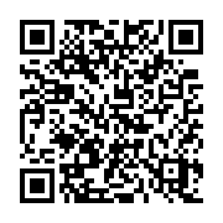 QR code for 411WSX