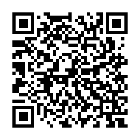 QR code for 4133NZ