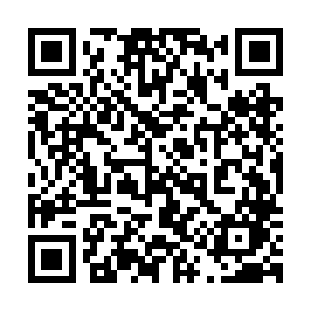 QR code for 419BLO
