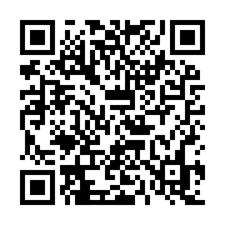 QR code for 419IRN