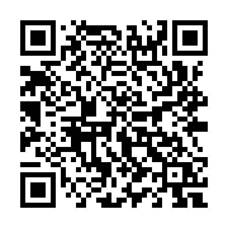QR code for 419YRQ