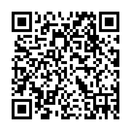 QR code for 4207LT
