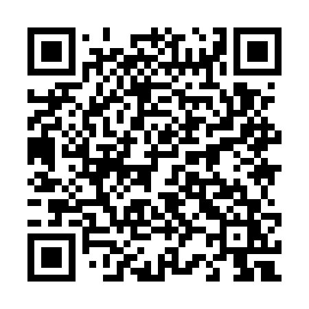 QR code for 4295VZ