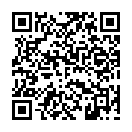 QR code for 4383PO