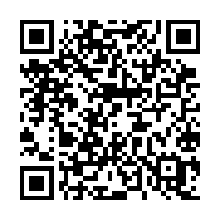 QR code for 447CIE