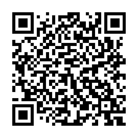 QR code for 451ISW