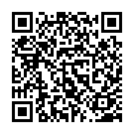QR code for 45631P