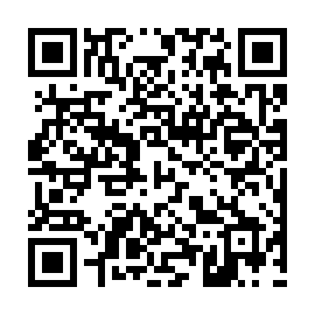 QR code for 45738X