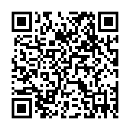 QR code for 46110N