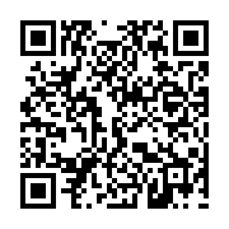 QR code for 46171X