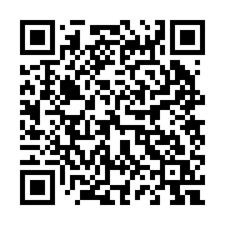 QR code for 46221S