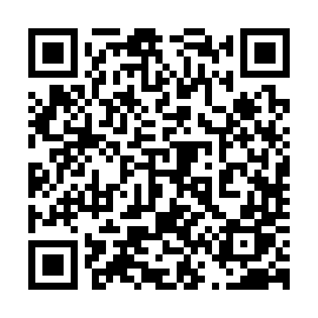 QR code for 46234P