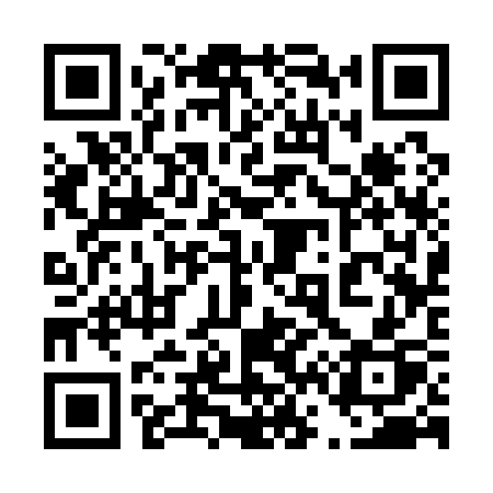 QR code for 46313P