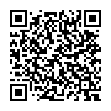 QR code for 463DUN