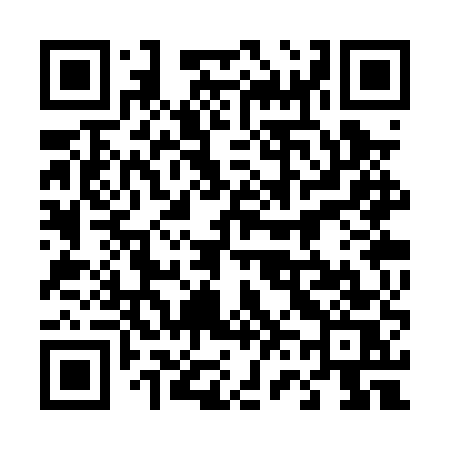 QR code for 463PUS