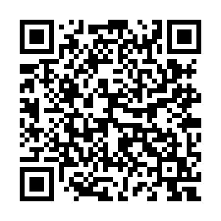 QR code for 463XIU