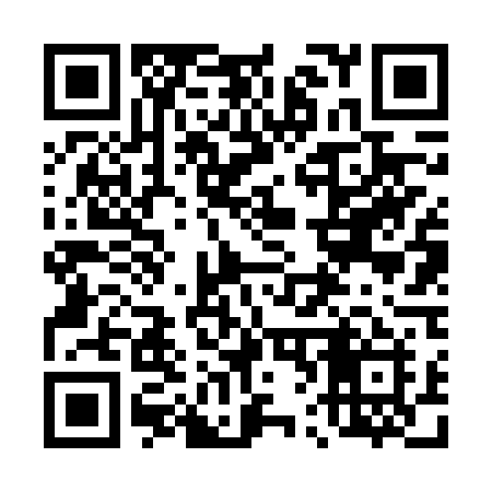 QR code for 4666TI