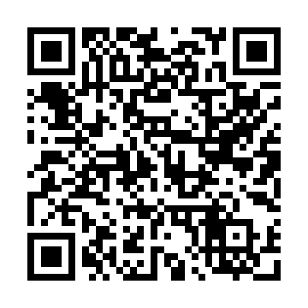 QR code for 48009P