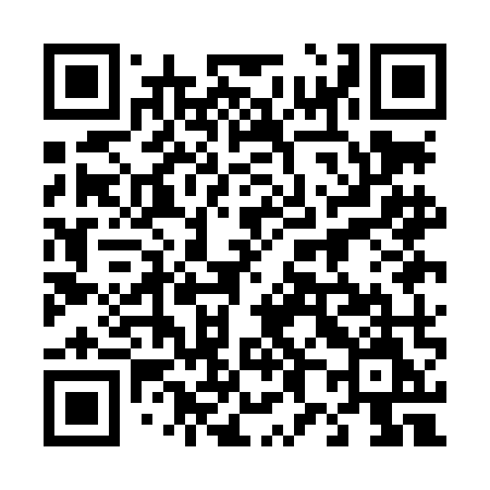 QR code for 481LMM
