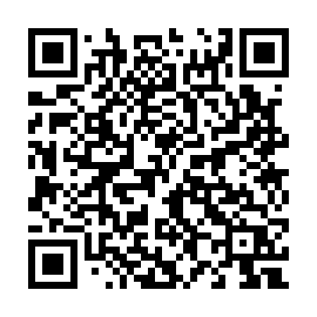 QR code for 48316P