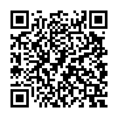 QR code for 48608P