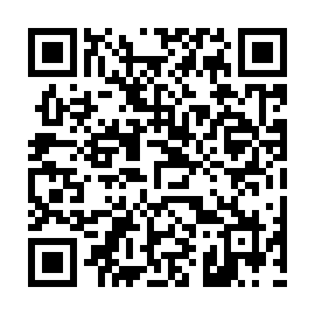 QR code for 49096Z
