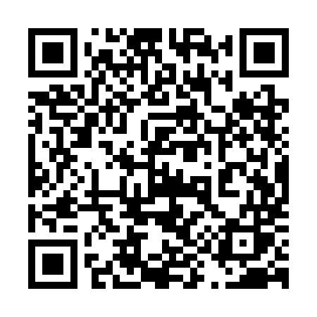 QR code for 491SMS