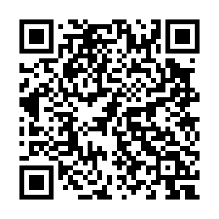 QR code for 49300L