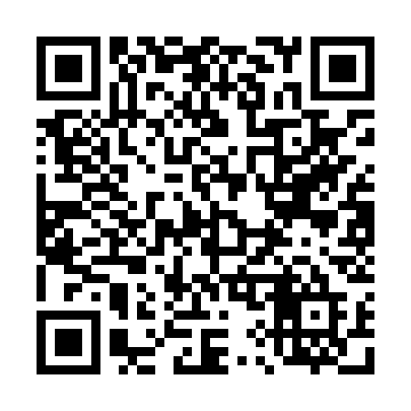 QR code for 493LSE