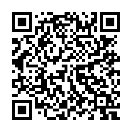 QR code for 493NAT