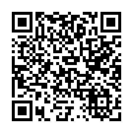 QR code for 493NMO