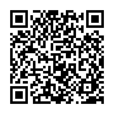 QR code for 493QIC
