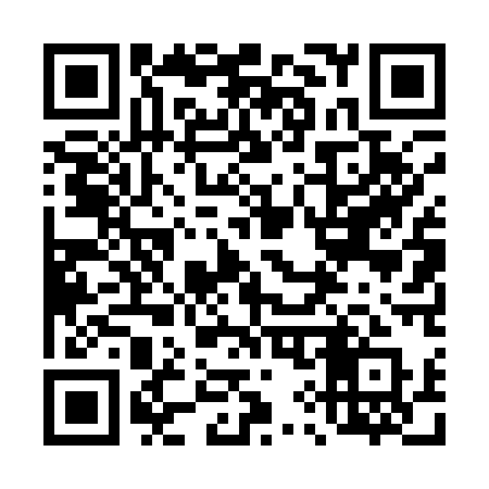 QR code for 49411Q