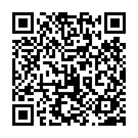 QR code for 496TEM