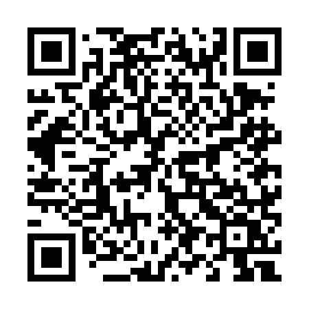 QR code for 497DMV