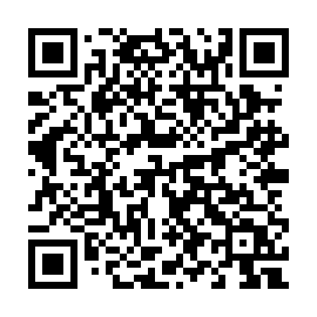 QR code for 498PET