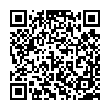QR code for 50166H