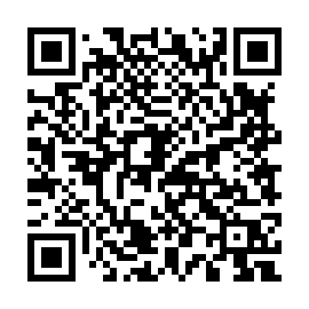 QR code for 50487P