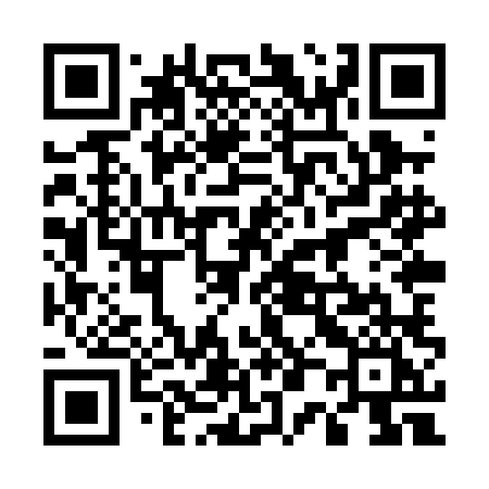 QR code for 508PLI
