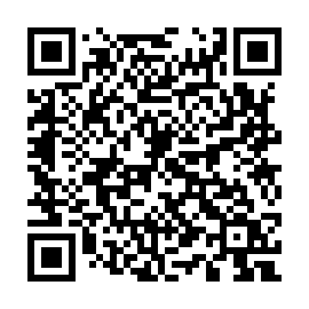 QR code for 51393V