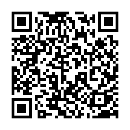 QR code for 51631Q