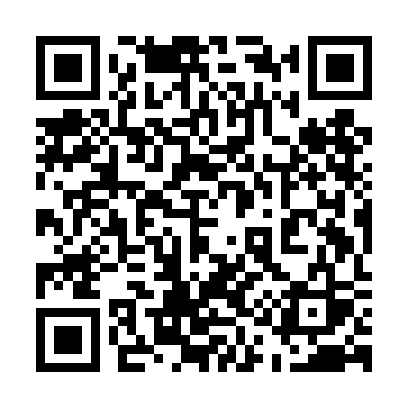 QR code for 519DCS