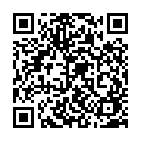 QR code for 533AUD