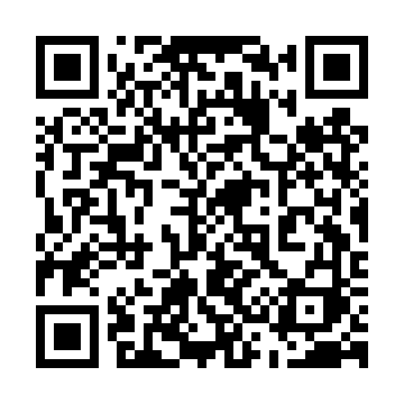 QR code for 533DVI