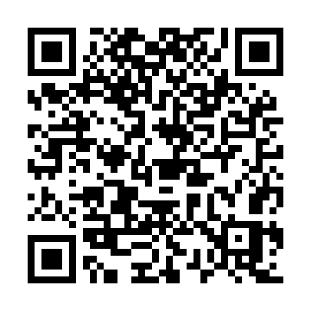 QR code for 533MGS