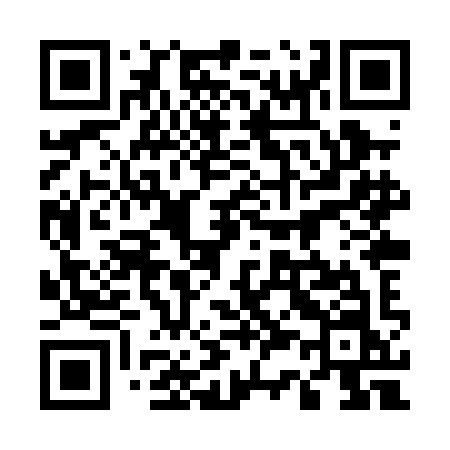 QR code for 538PIN