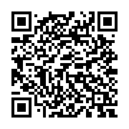 QR code for 540PUR