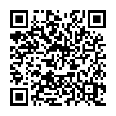 QR code for 541MKT