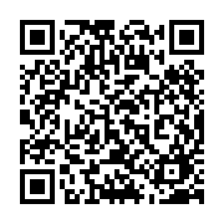 QR code for 541PAG