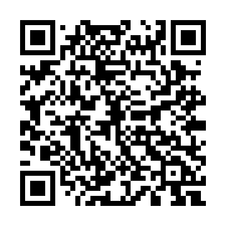 QR code for 541PLD